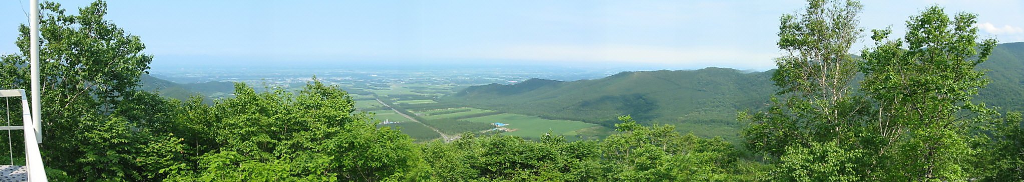 �������p�m���}�摜