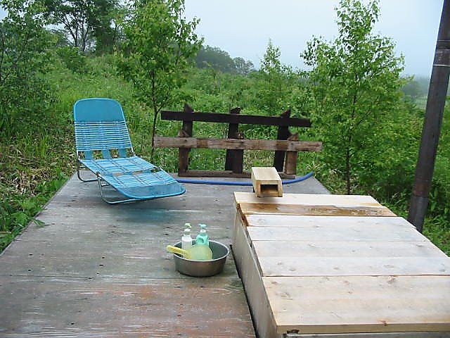 ���ɂ̘I�V���C���̂T