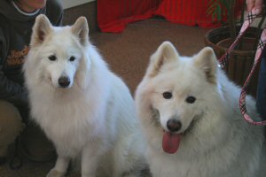 �m�G�����x���N