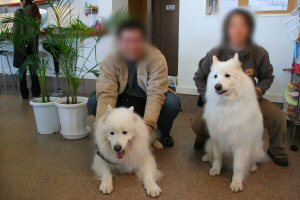 ��[�����x���N