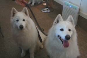 �W�������x���N