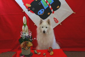 �������ɂ��Ȃ��