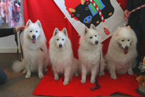 ���ٌ����낢����