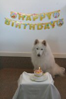 �P�[�L��O�ɁB�B�B