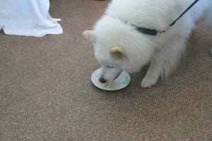 ����܂���