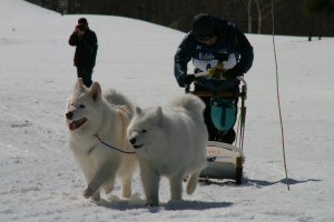 ���F���f���p�X