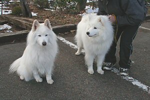 �⎟���x���N