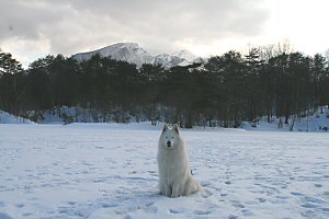 �X�͊���܂����񂩁H