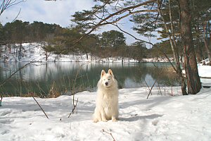 �������