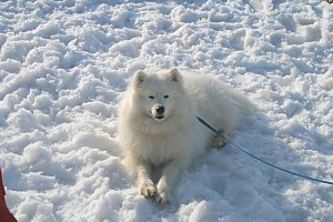 �⎟����A�������܋x�e��