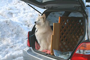 ���������⎟����̎Ԃɏ�荞�ރx���N