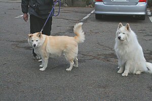 �͂�����񁕃x���N