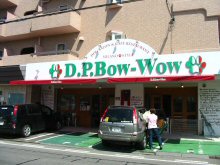 D.P.Bow-WoẘO