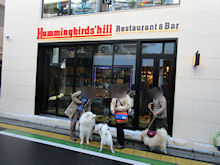 Hummingbirds'hillXgo[̊O